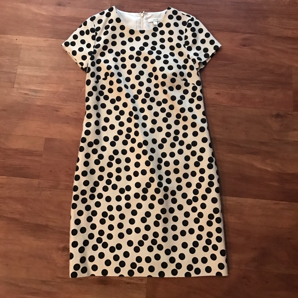 J. Crew Polka Dot Dress
